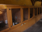 ZOO Ostrava