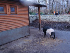 ZOO Ostrava